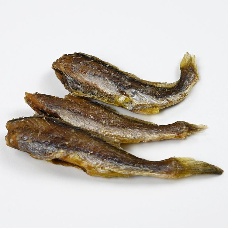 小黃魚(yú)